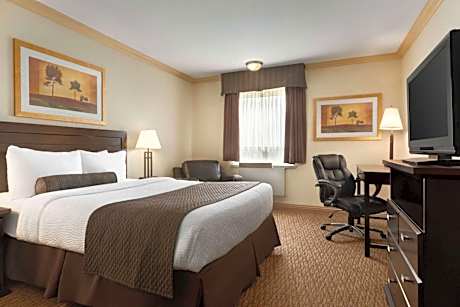 Deluxe Queen Room - Non Smoking