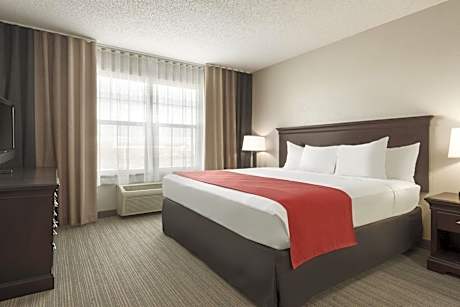 One-Bedroom King Suite with Sofa Bed
