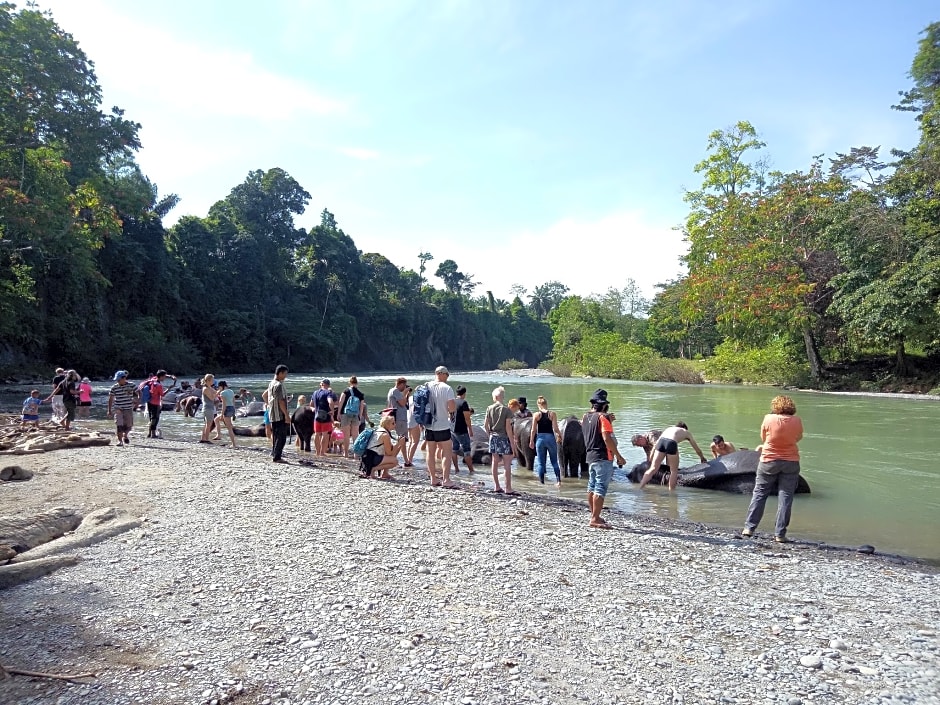 Green lodge tangkahan 