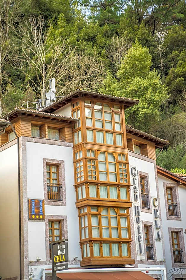 Gran Hotel Rural Cela