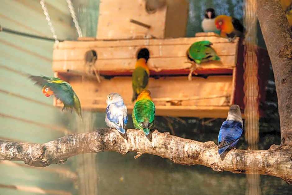 Chambres d'hôtes Naturistes (Nudiste) "Cabanadelsol" - Adults Only