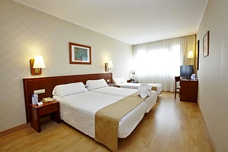 Double or Twin Room (with extra bed) (1 Double Bed)