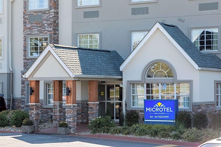 Microtel Inn & Suites Greenville by Wyndham