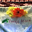 Turtle Beach Hotel