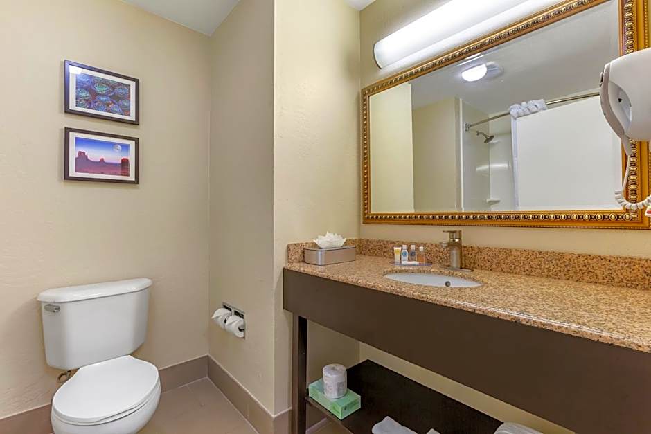 Comfort Inn & Suites Surprise Near Sun City West