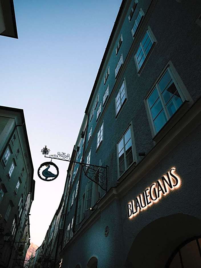 Arthotel Blaue Gans