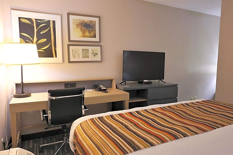 Photo 1 of 6 of 1 King Bed Suite