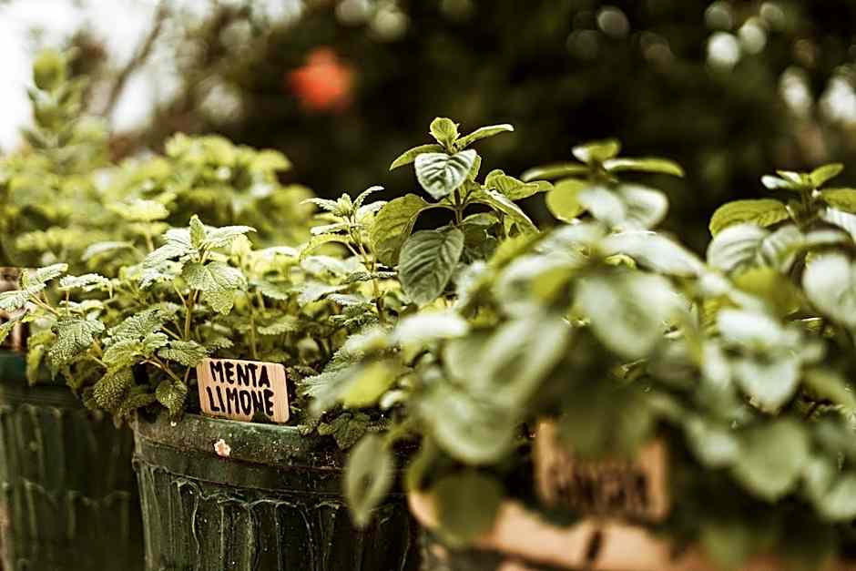 Boutique Hotel I Cinque Balconi