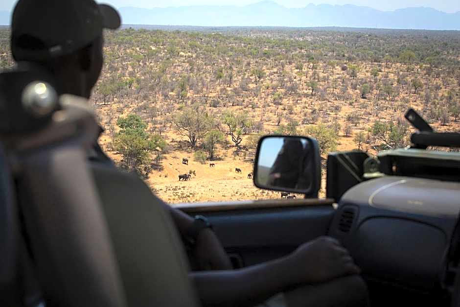 isiLimela Game Lodge