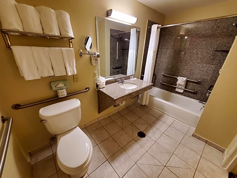 Comfort Suites near Texas Medical Center - NRG Stadium