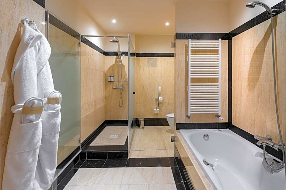 Elba Estepona Gran Hotel & Thalasso Spa