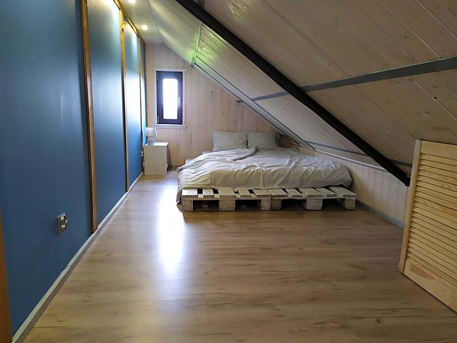 Koniczynka Jarosławiec