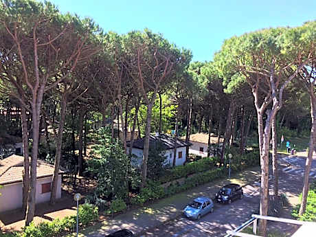 Two Connecting Rooms