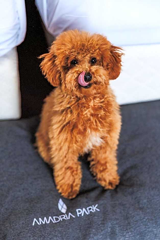 Amadria Park Agava Hotel