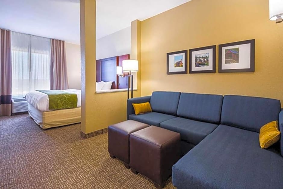 Comfort Suites Greenville South