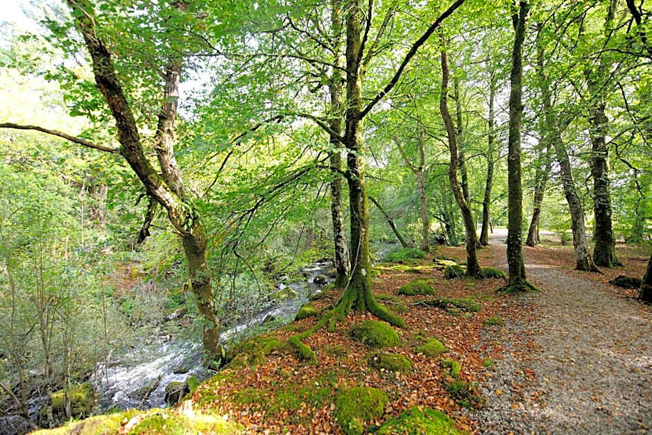 Gidleigh Park- A Relais & Chateaux Hotel