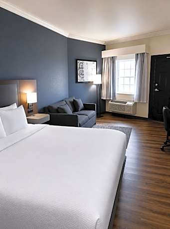 King Suite with Sofa Bed