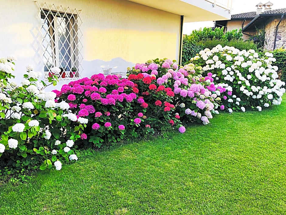 Bed and Breakfast da Beatrice