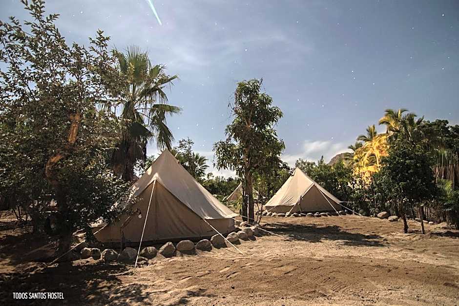 Todos Santos Hostel super fast and stable satellite wifi