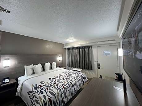 Standard King Room Smoke Free
