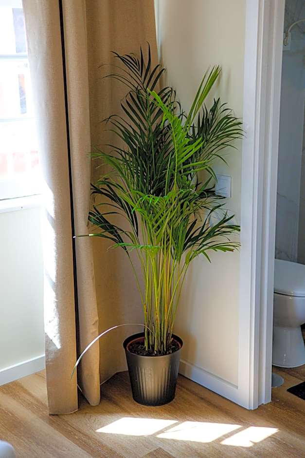 Green Coast Surf House