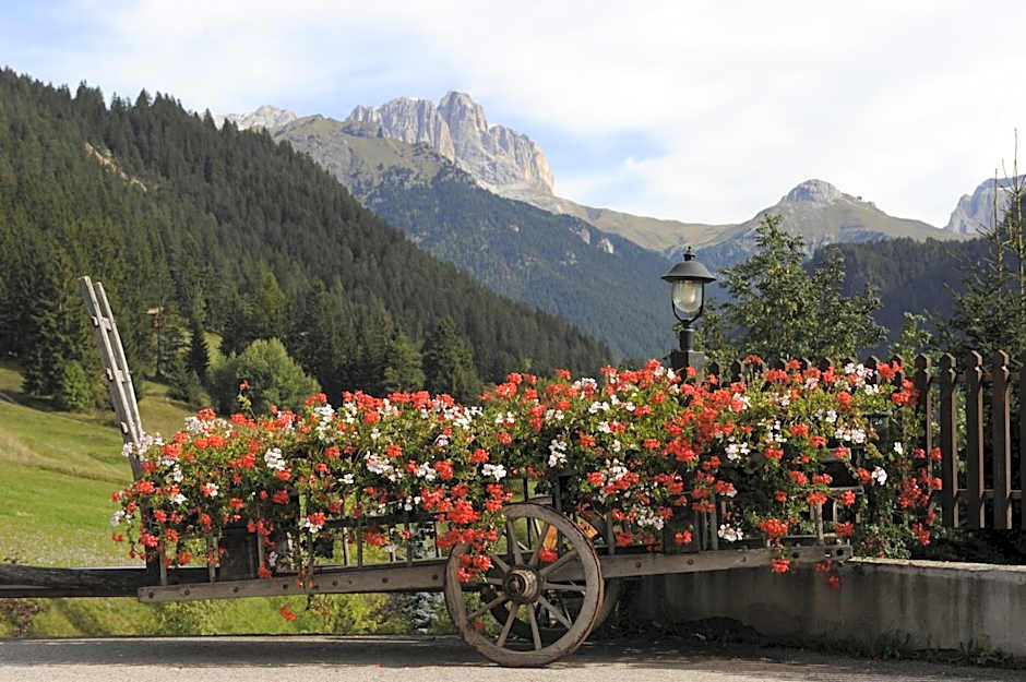 Alpine Touring Hotel-petfriendly