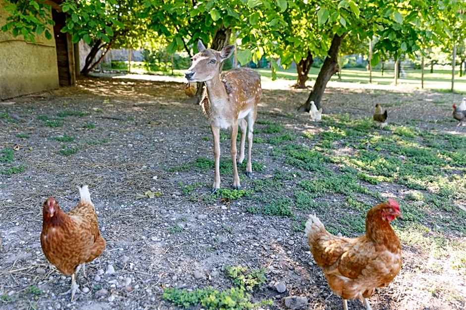 Villa Padovani Relais de Charme - Adults Only