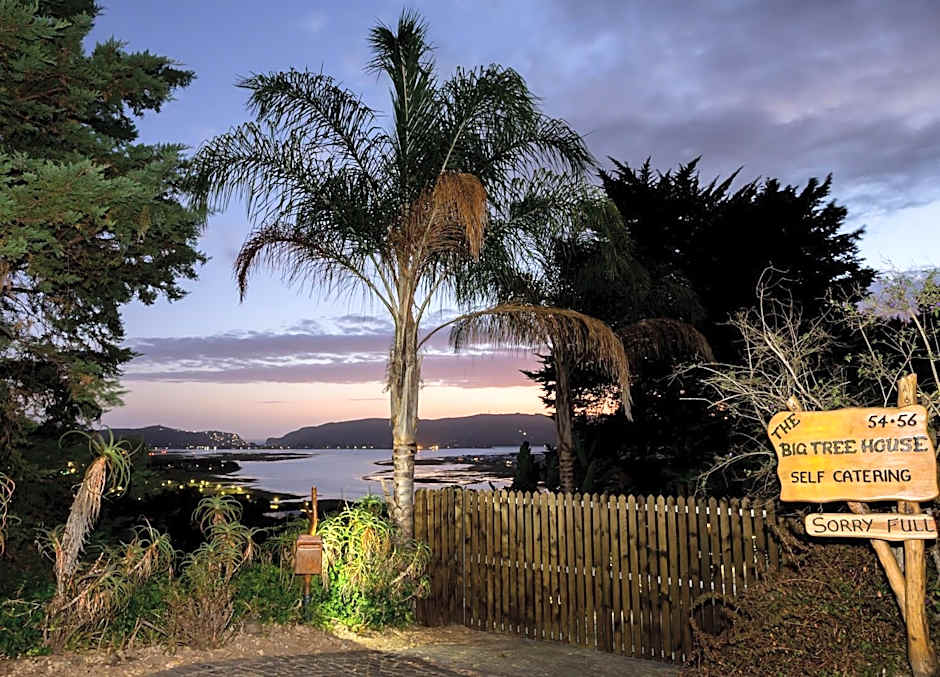 Big Tree House Lodge