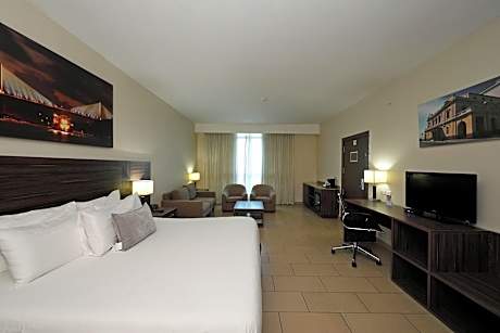 Executive Double Room, 1 King Bed (1 King Bed)