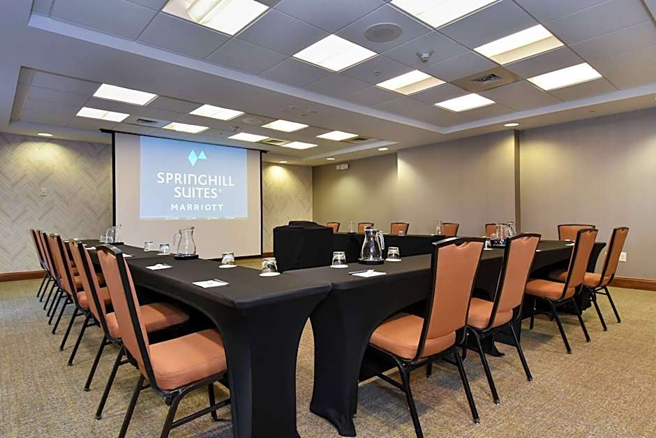 SpringHill Suites by Marriott Columbia Downtown/The Vista