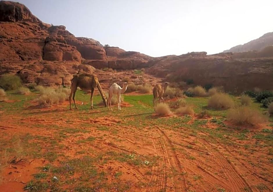 Wadi Rum