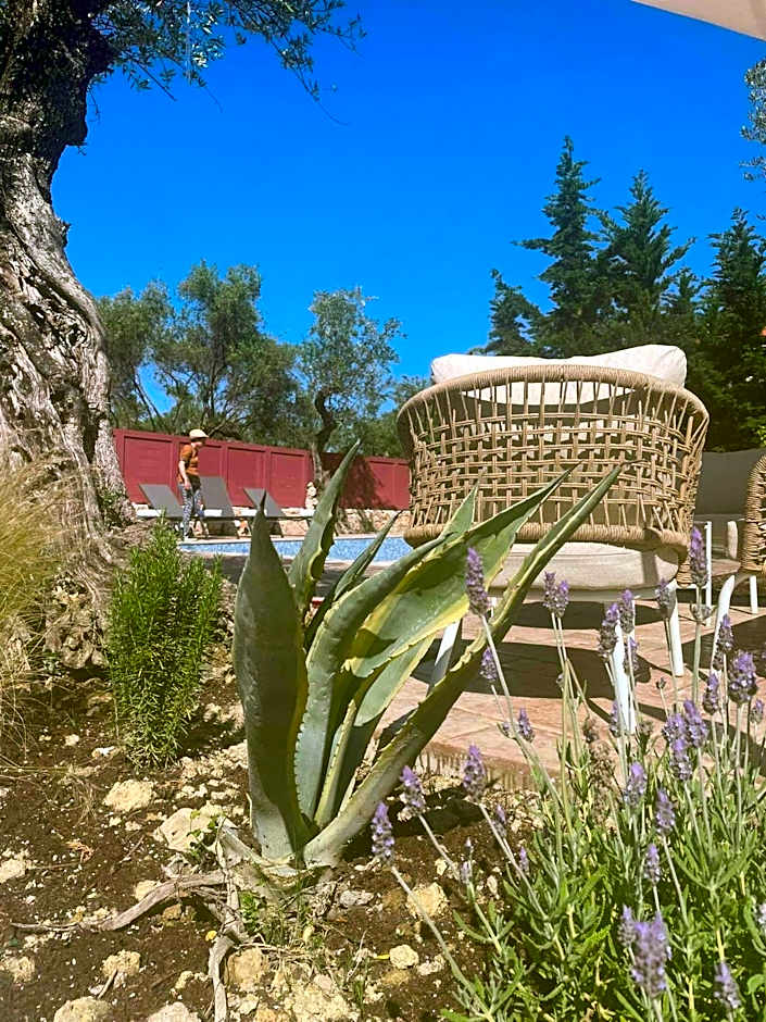 Nissi Collection Rooms