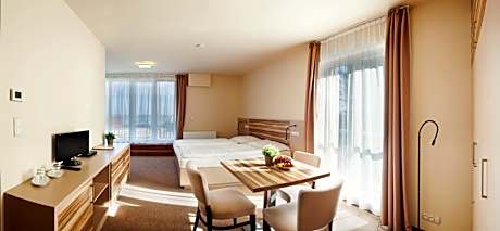 Triple Room with Terrace