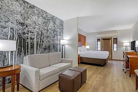 King Suite with Sofa Bed - Non-Smoking/Pet Friendly