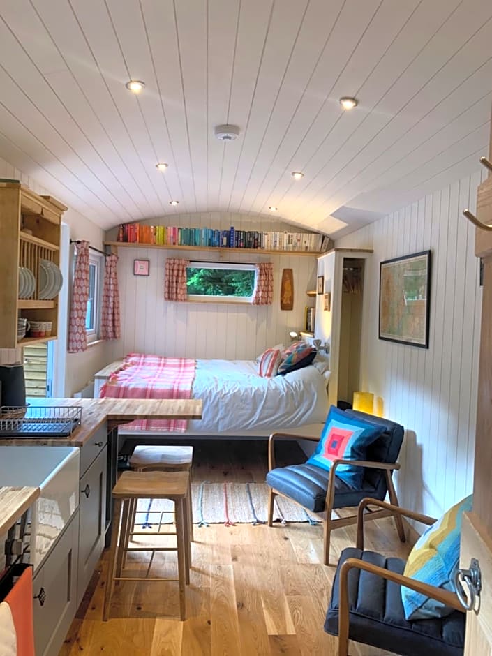 Shepherd’s delight