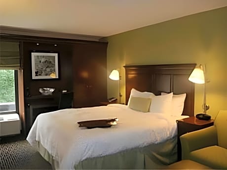King Room with Sofa Bed