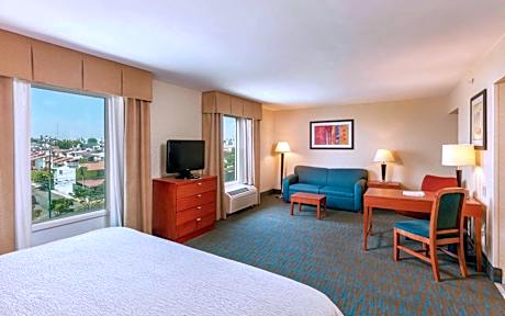 1 King Bed Studio Suite Nonsmoking