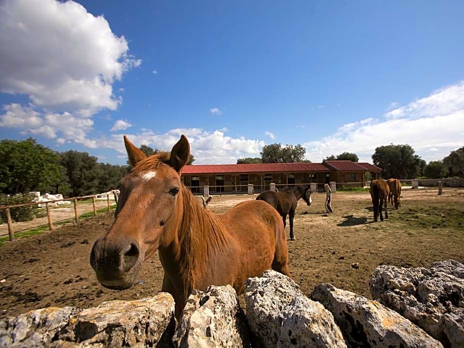 Masseria Relais Del Cardinale