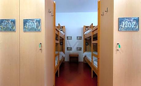 Bed in 10-Bed Female Dormitory Room with Private Bathroom