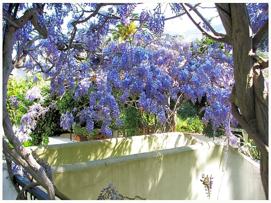 B&B La Salamandra Kitchengarden