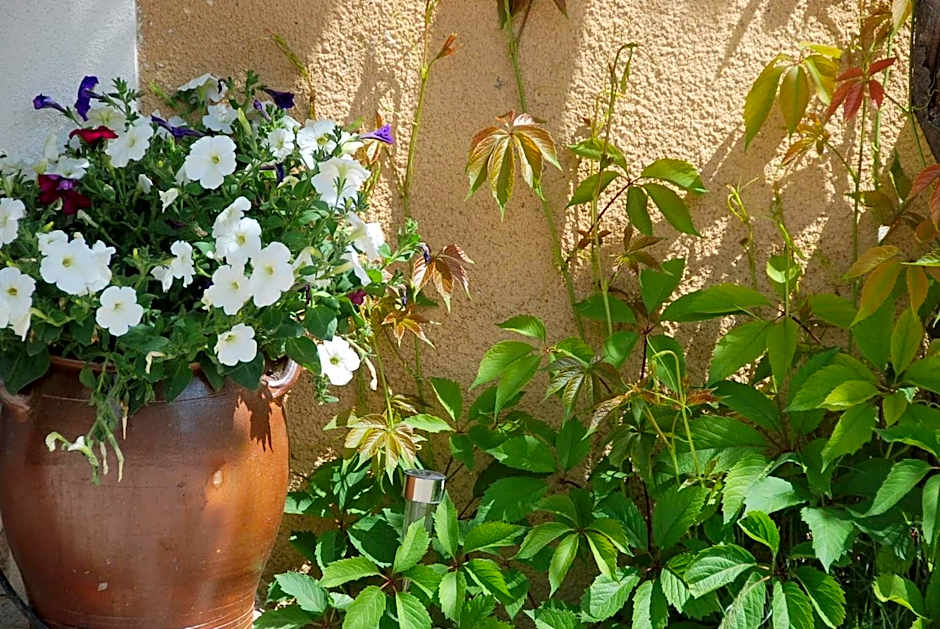 Le Domaine Saint Jean – St. Saturnin d'Apt, UT