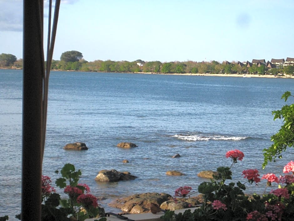 Le Cactus Guest House