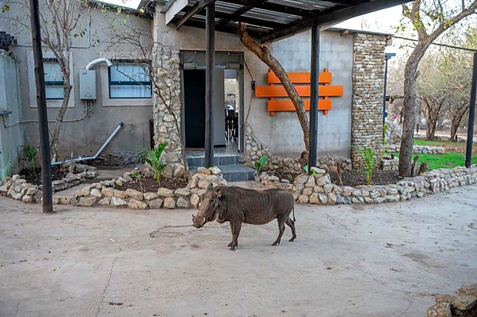 Foxy Crocodile Bush Lodge & Kruger Safaris