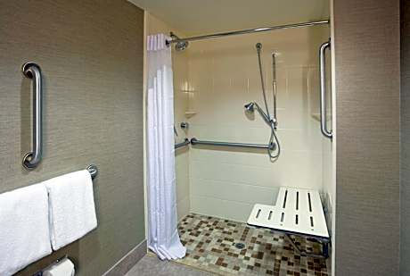 King Room with Roll-In Shower - Disability Access