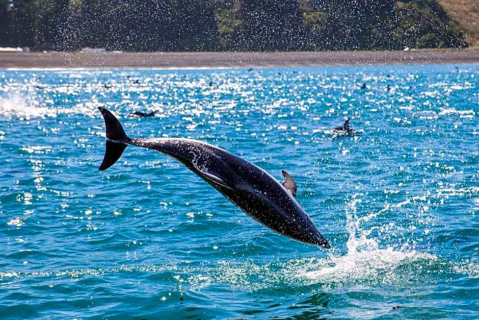 The Factory Luxury Accomodation