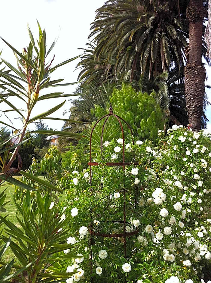 B&B Sauvignon Country Lodge