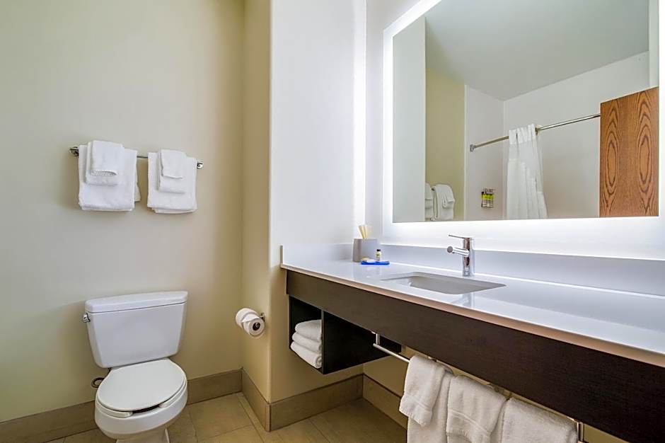 Holiday Inn Express Hotel & Suites Custer By IHG