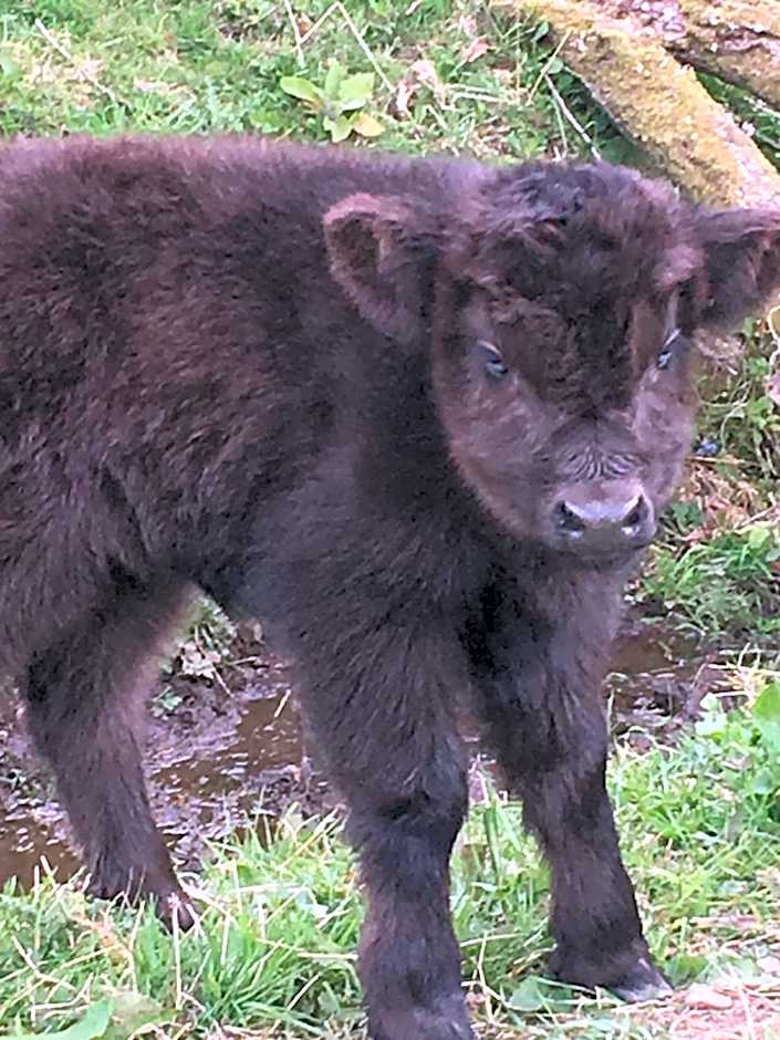 The Greannan Bed & Breakfast