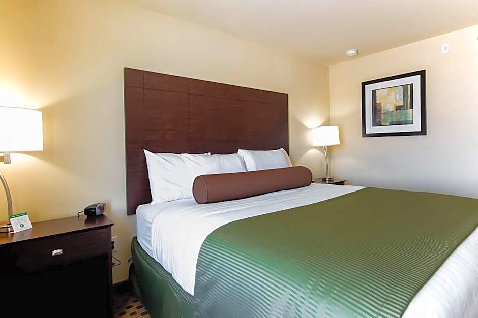 Cobblestone Inn & Suites - Eads