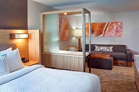 Suite, 1 King Bed with Sofa bed (1 King Bed and 1 Double Sofa Bed)